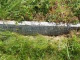 image of grave number 662801